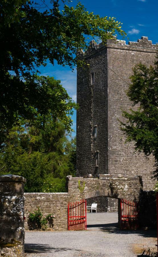 Ross Castle B&B Oldcastle Exterior foto